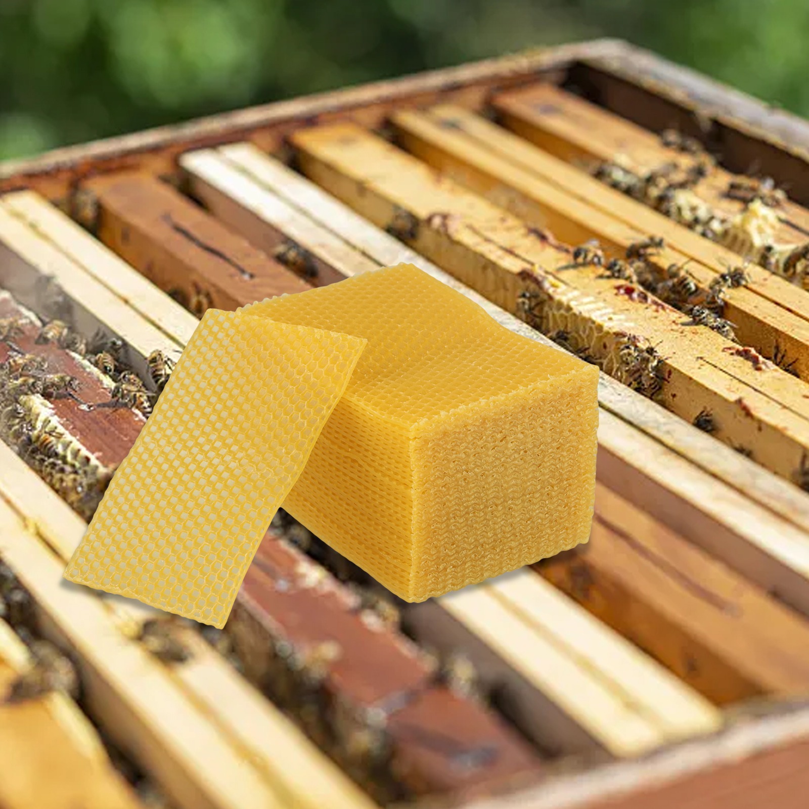 Fogli di cera d'api per fondam - Candle Making Kit Beeswax recensione e prezzo